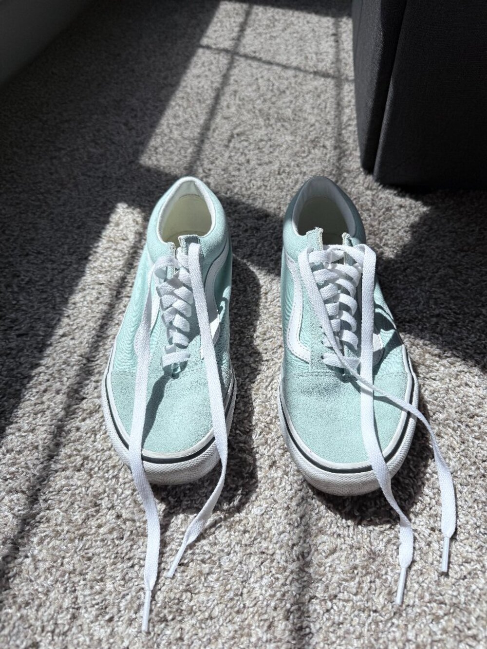 Mint Vans